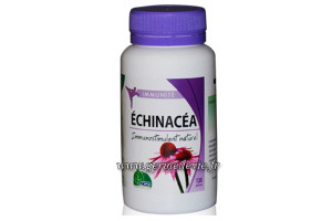 Echinacea