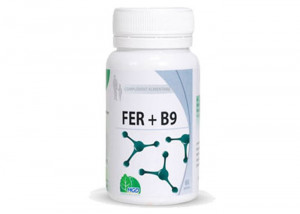 fer-B9-mgd