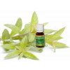 huile-essentielle-bio-lavandin-clone-abrial-cinier-B