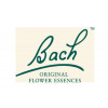 logo-bach