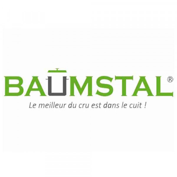 logo-baumstal