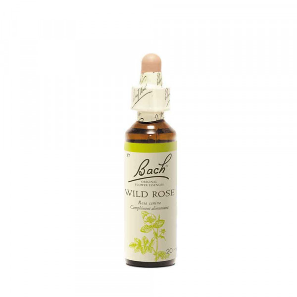 fleurs-de-bach-original-n-37-wild-rose-flacon-compte-goutte-20ml