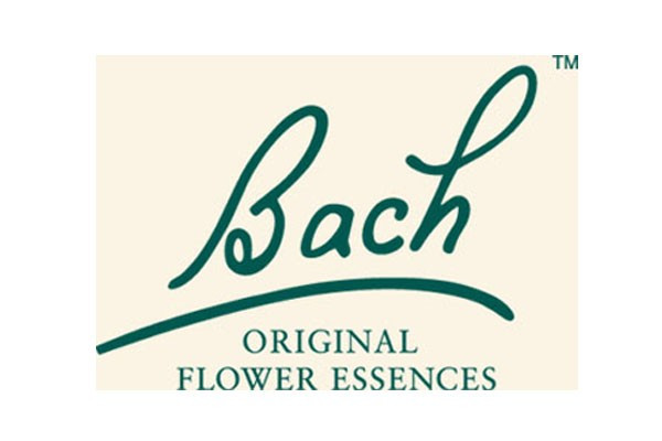 logo-bach